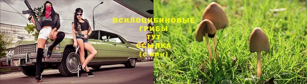 MESCALINE Бугульма